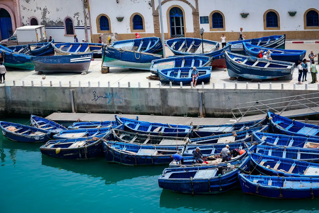 Rows of blue wooden fishing boats moored in Essaouira harbour