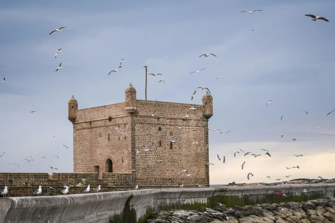 Seagulls circling the square stone tower of Essaouira port