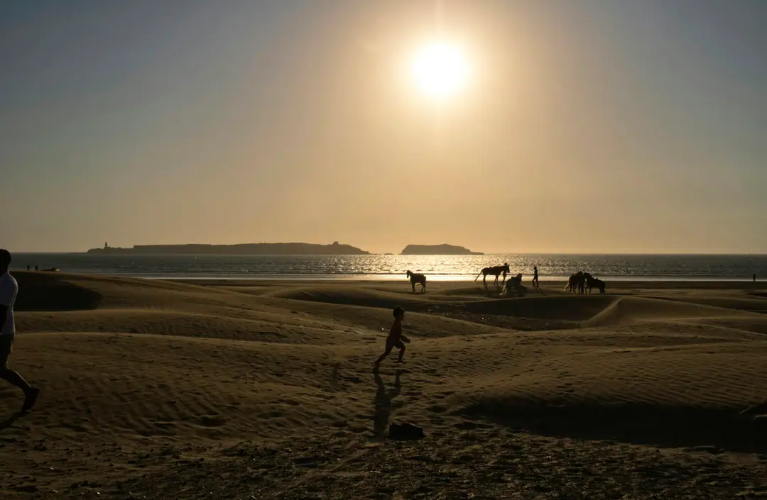 Horses silhouetted on a beach at sunset, islands on the horizon and a child running in the foreground